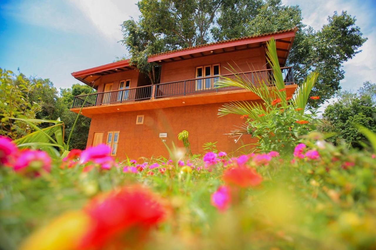 Jungle Hut Resort Sigiriya Exterior foto